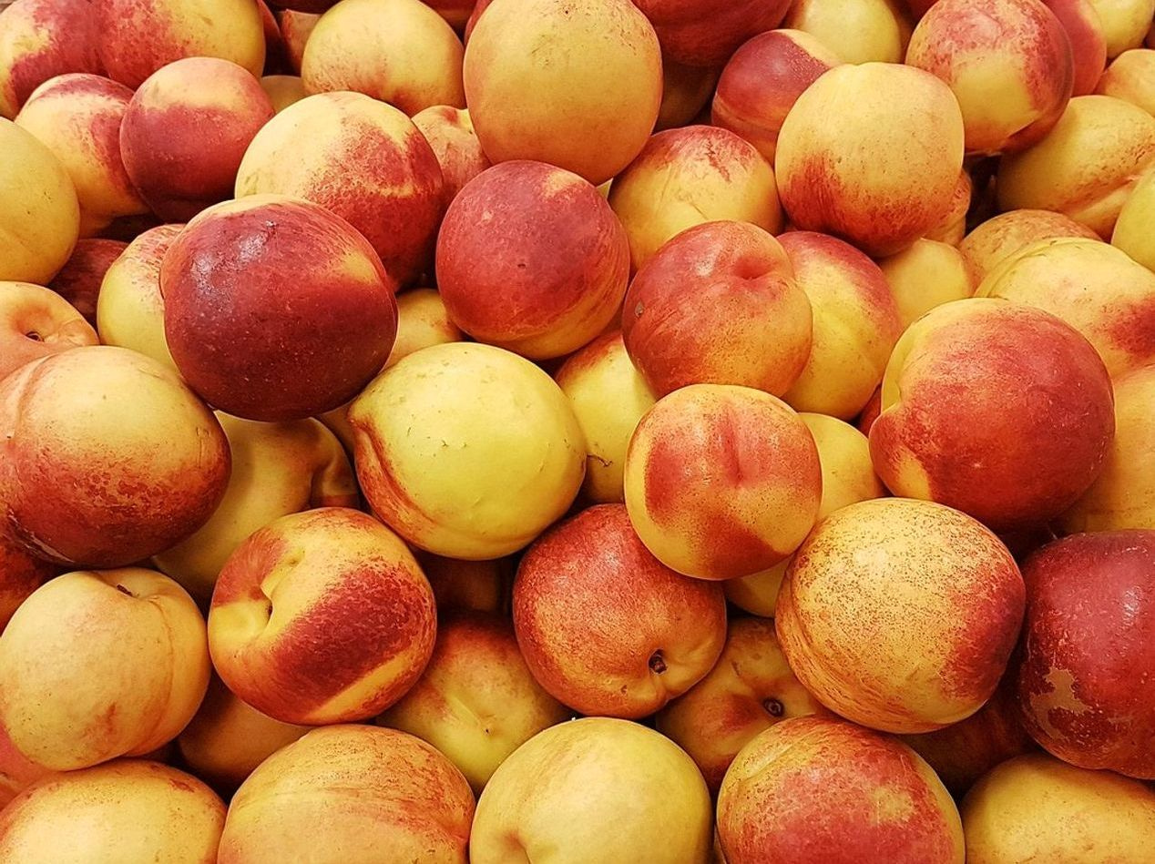 Frambuesas frescas